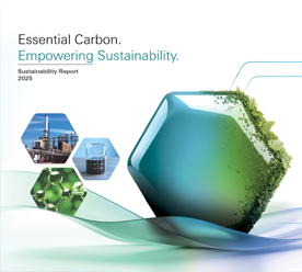 Sustainability Report 2025